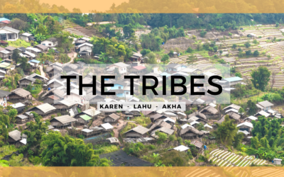 Connecting to the Tribes